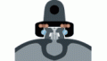IDP0409.gif